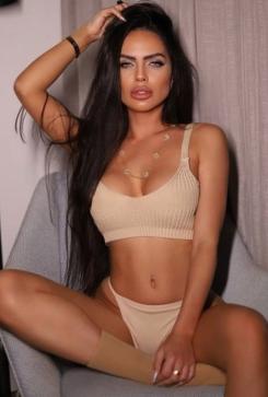 Bevini